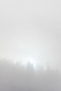 Fog against sky