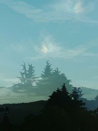 Silhouette tree against sky