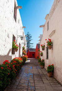 Monastery - arequipa, peru