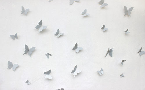 High angle view of birds on table