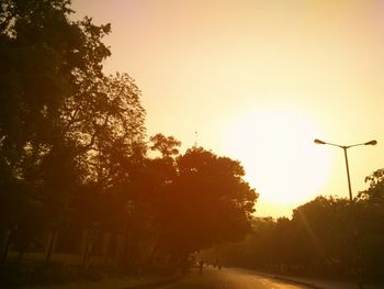 Silhouette of trees at sunset