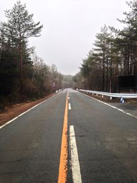 Empty road along trees