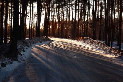 Snow covered road amidst trees in forest