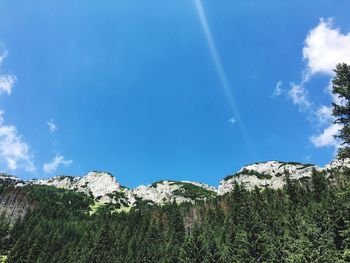 Low angle view of trees on mountain against blue sky