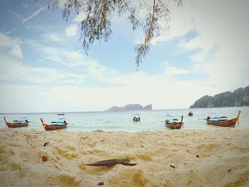 Scenic view of beach against sky