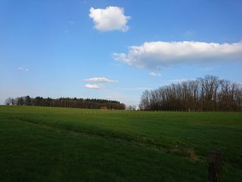 Scenic view of field against sky