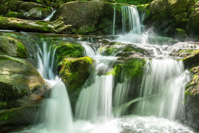 Scenic view of waterfall in forest