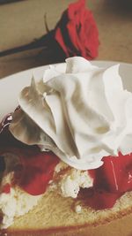 Close-up of red rose