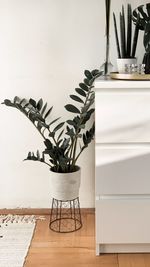 Close-up of potted plant on table at home