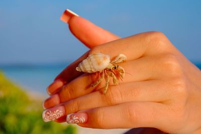 Cropped hand of woman with crab