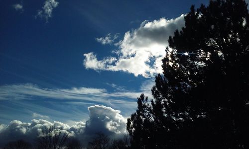 Low angle view of trees against cloudy sky