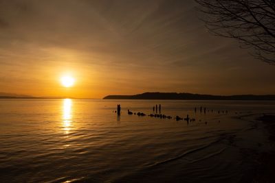 Silhouette people on beach against sky during sunset