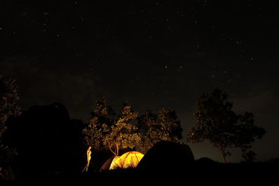 Silhouette trees on field against sky at night