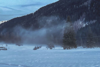 cold temperature