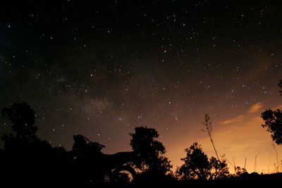Low angle view of trees against sky at night