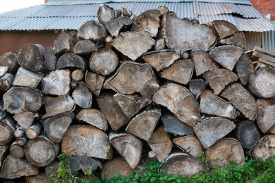 Stack of logs in forest