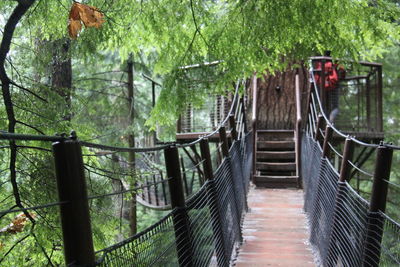 Footbridge in forest