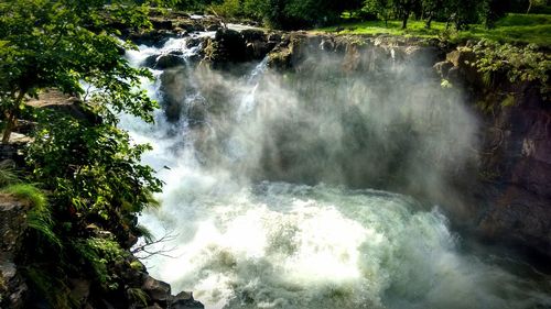 Scenic view of waterfall in forest