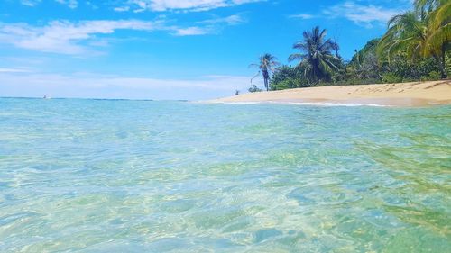 Scenic view of sea against blue sky