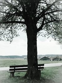 Bench on tree by sea against sky