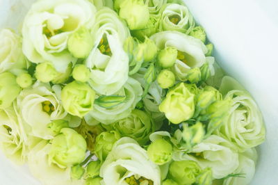 High angle view of chopped vegetables in bowl