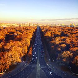 Road amidst trees against clear sky during autumn