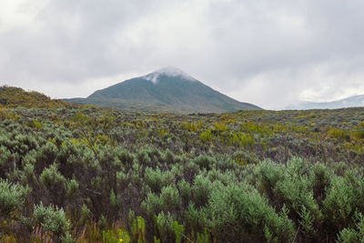 Scenic view of mugi hill against sky at chogoria route, mount kenya national park, kenya