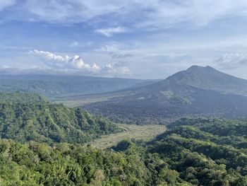 environment
