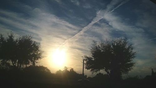 Silhouette trees against sky during sunset