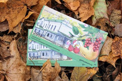 High angle view of envelops with autumn leaves on field