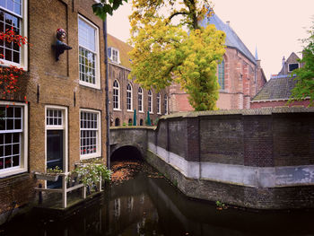 Canal amidst trees against sky