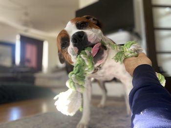 Man holding dog at home