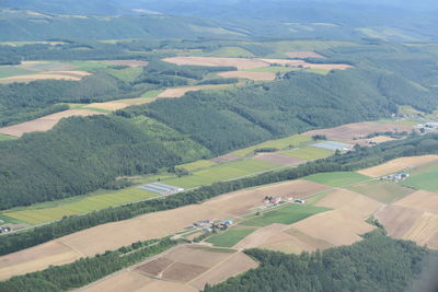 Aerial view of agricultural landscape