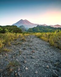 Scenic view of landscape against sky