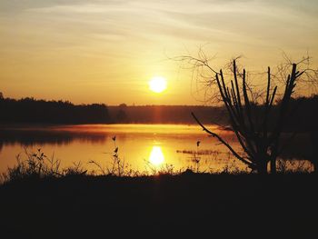 Silhouette plants by lake against sky during sunset