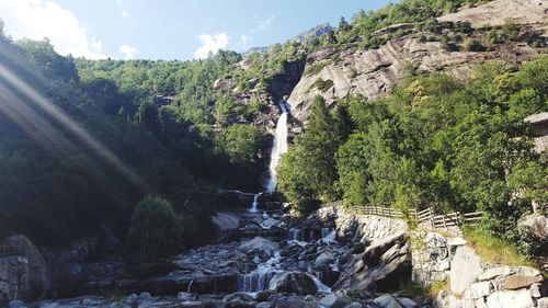 Scenic view of waterfall in forest