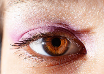 Close up of eye of young woman with makeup