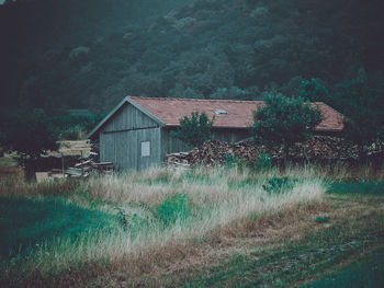 Plants growing on field against buildings