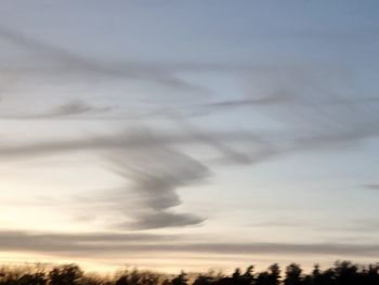 Low angle view of silhouette trees against sky