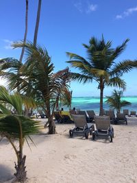 Palm trees on beach against sky