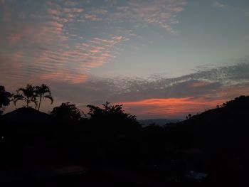 Low angle view of silhouette trees against orange sky