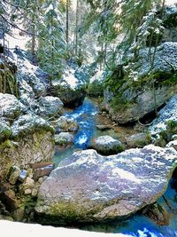 River amidst rocks in forest