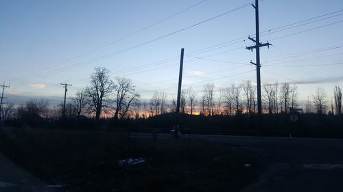 Silhouette of trees at sunset