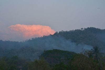 Scenic view of forest against sky