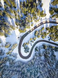 Aerial view of road amidst forest