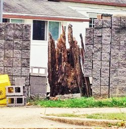 Brick wall with brick wall