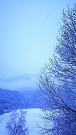 Snow covered landscape