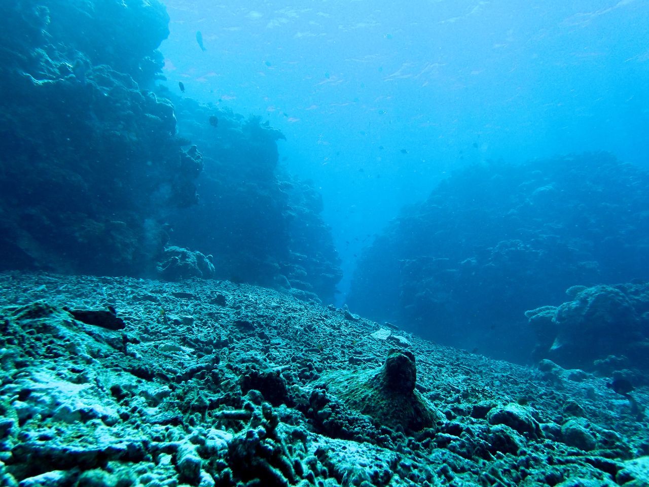 UNDERWATER VIEW OF SEA