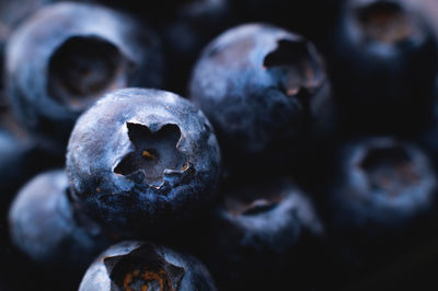 fruit