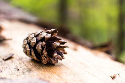 Close-up of wood on table